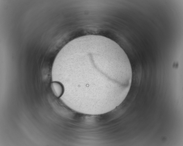 X0000111920134200908241100