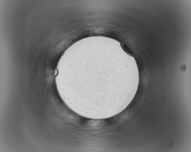 X0000111920135200908241100