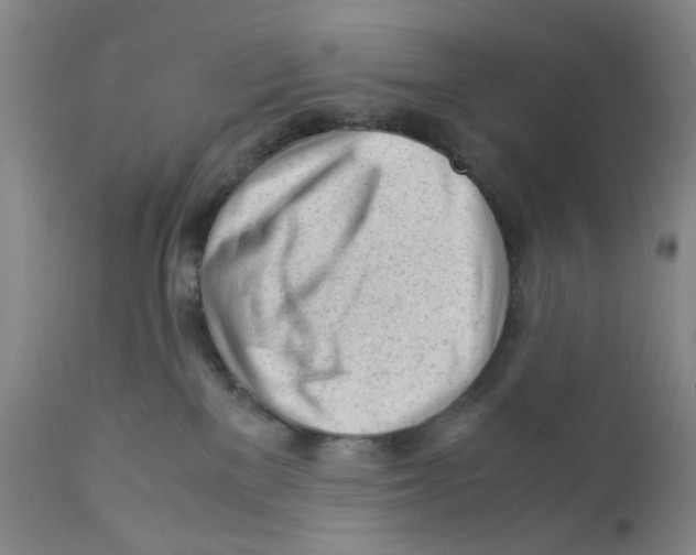 X0000111920137200908241100