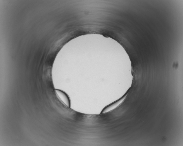 X0000111920141200908241100