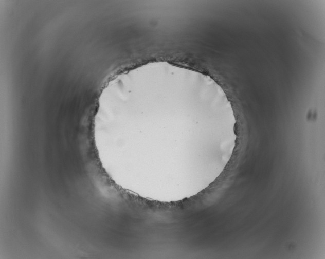 X0000111920144200908241100