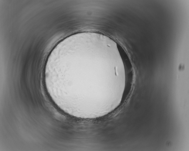 X0000111920145200908241059