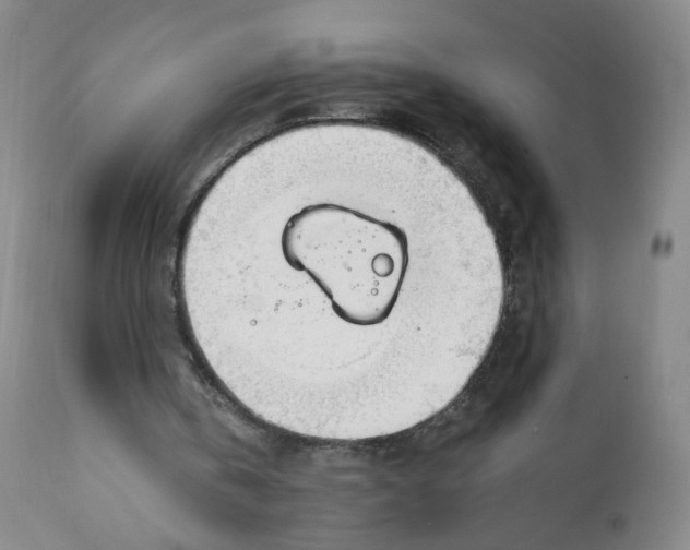 X0000111920146200908241059