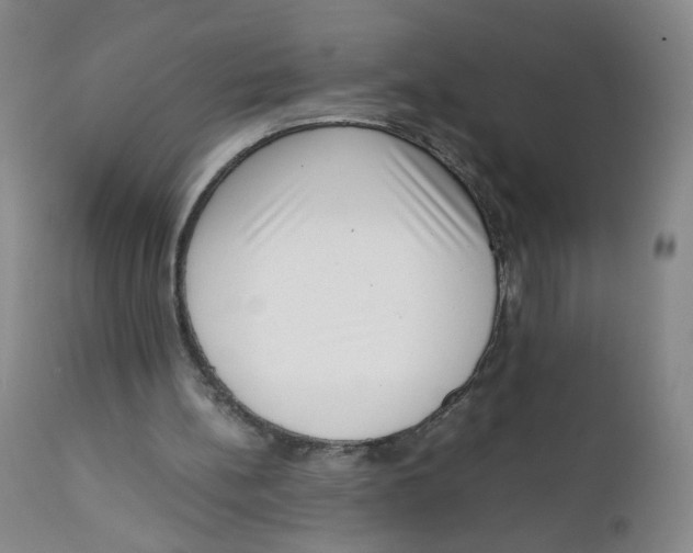 X0000111920148200908241059