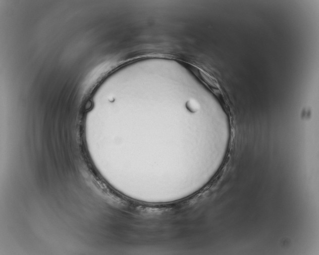 X0000111920149200908241059