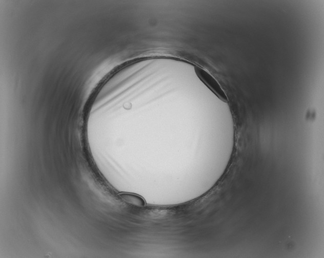 X0000111920152200908241059