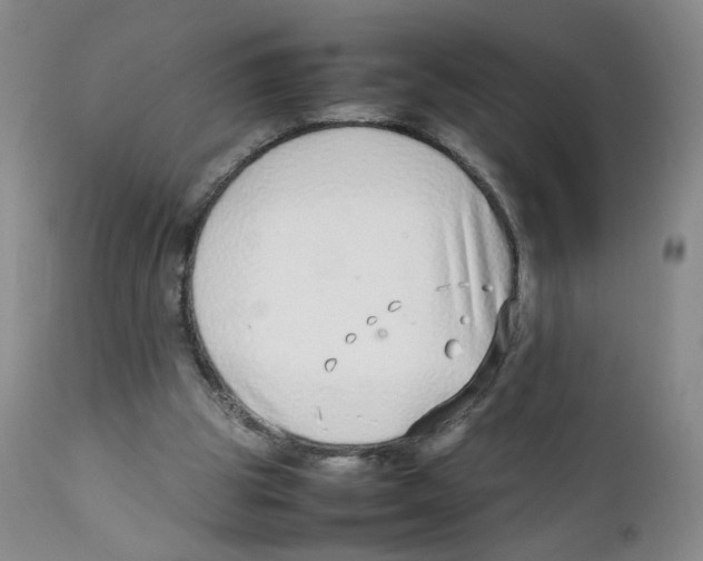 X0000111920153200908241059