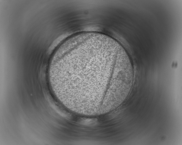 X0000111920155200908241059