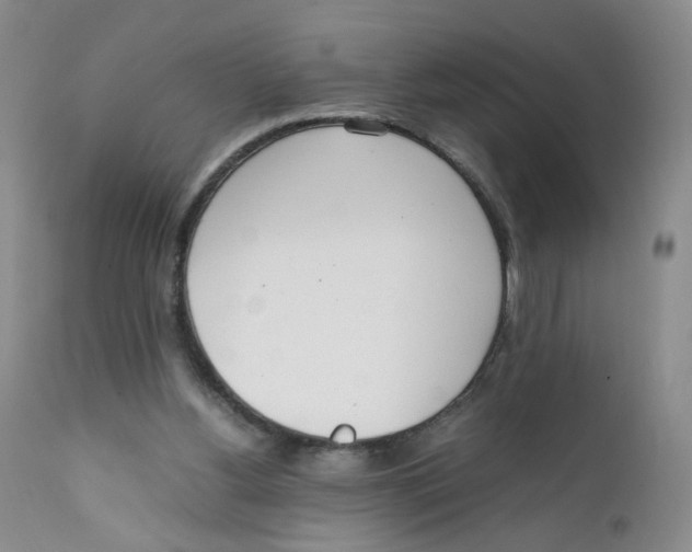 X0000111920156200908241059