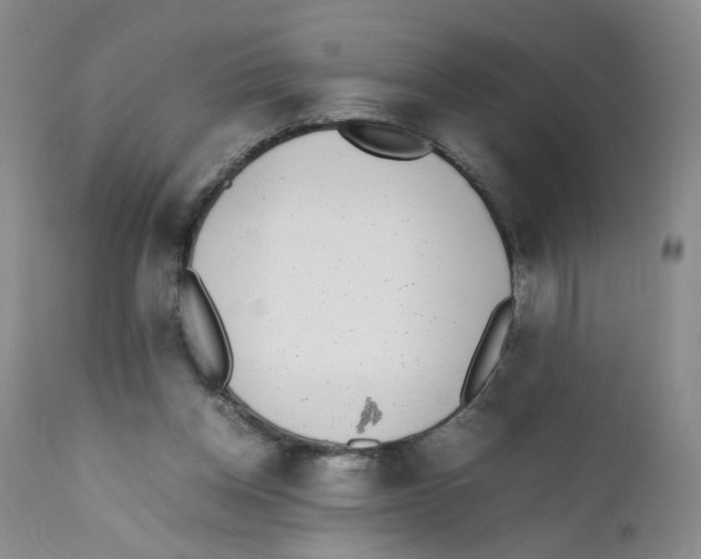 X0000111920158200908241059