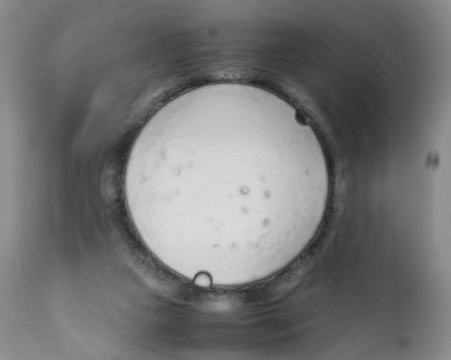 X0000111920161200908241059