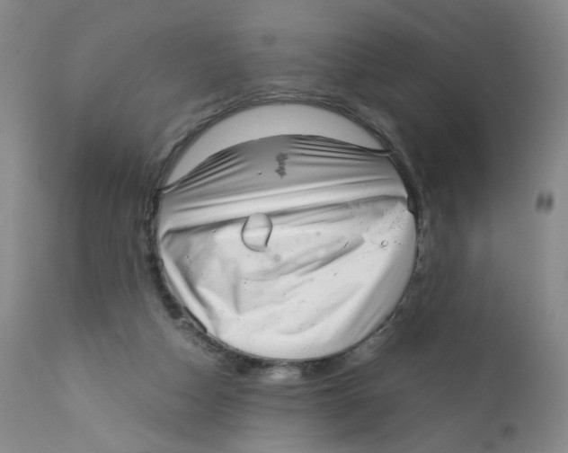 X0000111920162200908241059