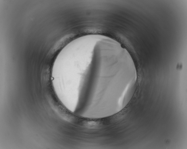 X0000111920163200908241059