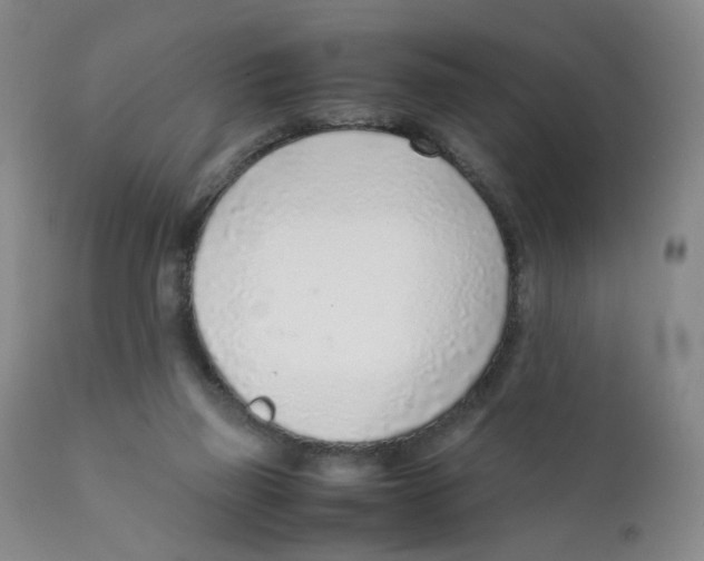 X0000111920165200908241100