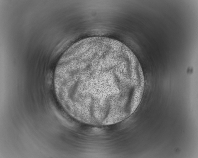 X0000111920166200908241100