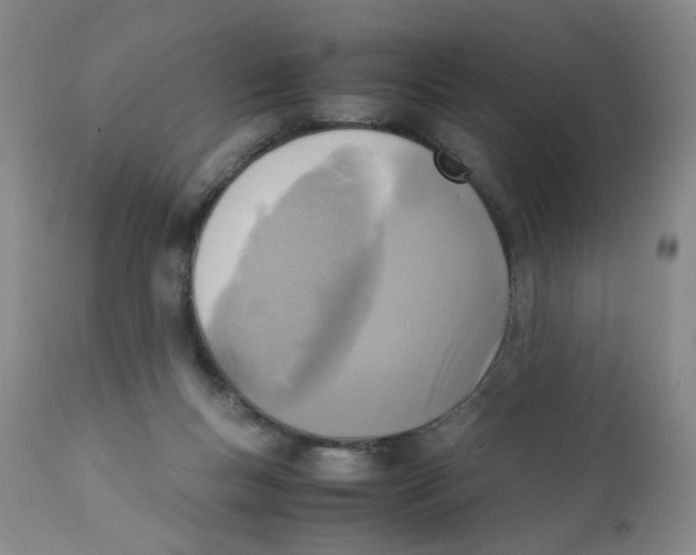 X0000111920167200908241100