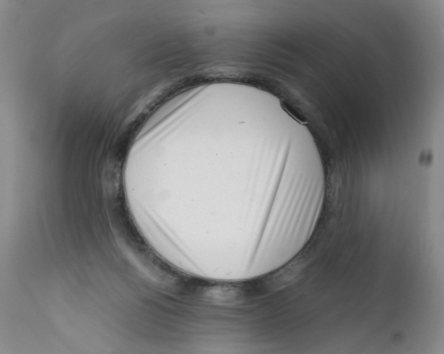 X0000111920168200908241100