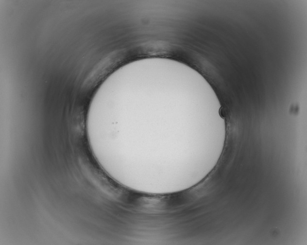 X0000111920170200908241100