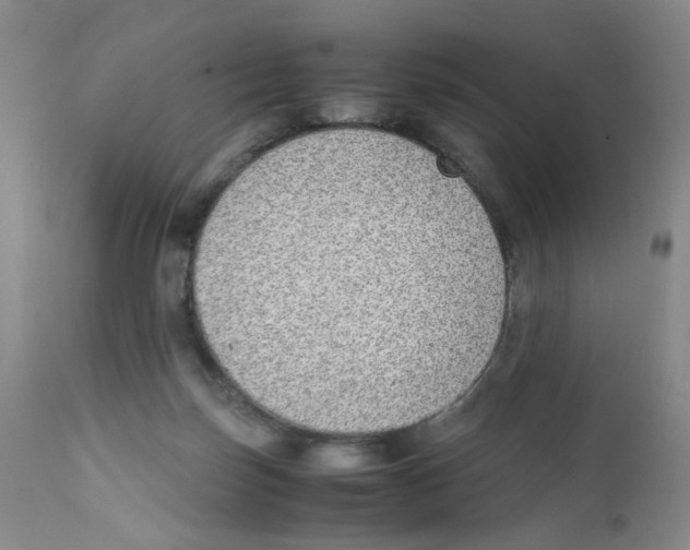 X0000111920171200908241100