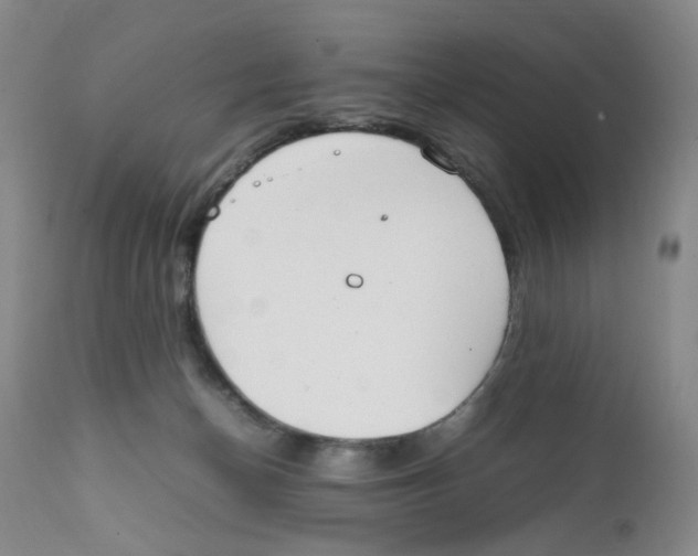 X0000111920174200908241100