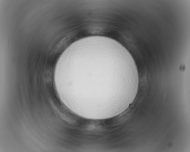 X0000111920175200908241100