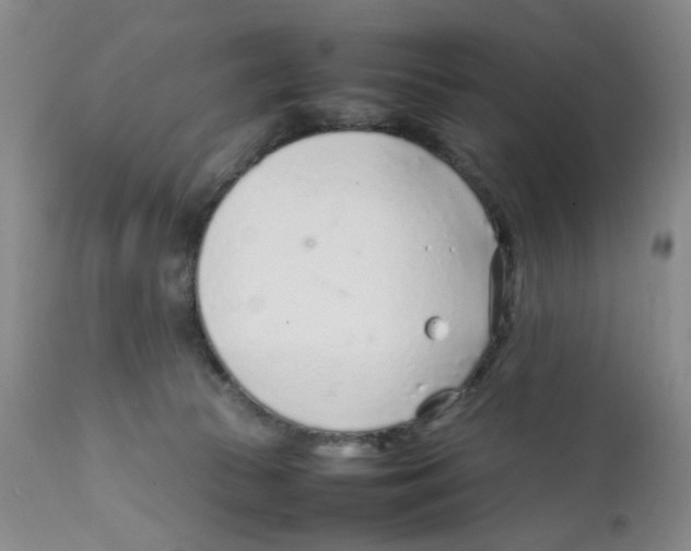 X0000111920177200908241100