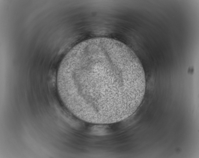 X0000111920179200908241100