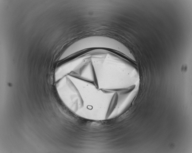 X0000111920180200908241100