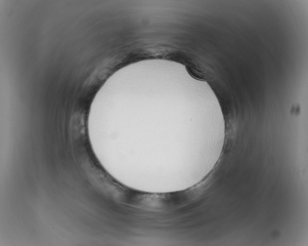 X0000111920182200908241100