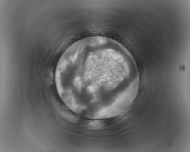 X0000111920183200908241100