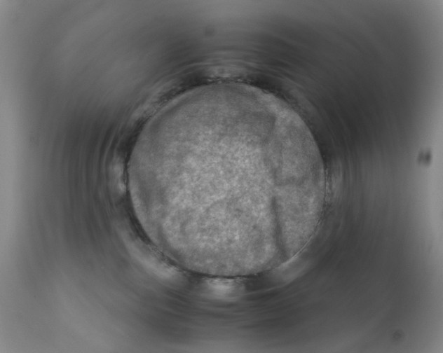 X0000111920187200908241100