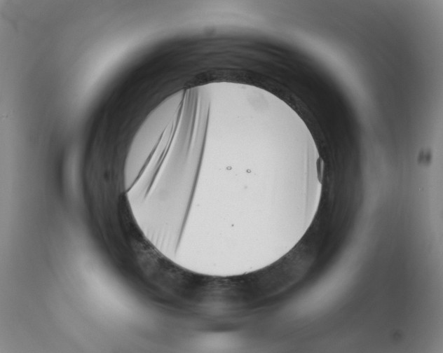 X0000111920189200908241100