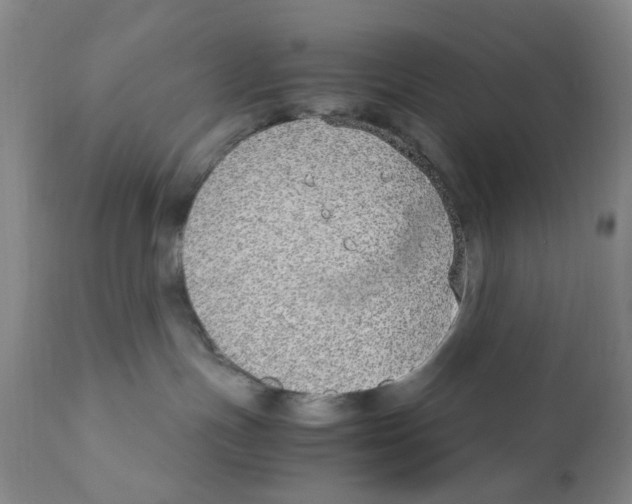 X0000111920191200908241100