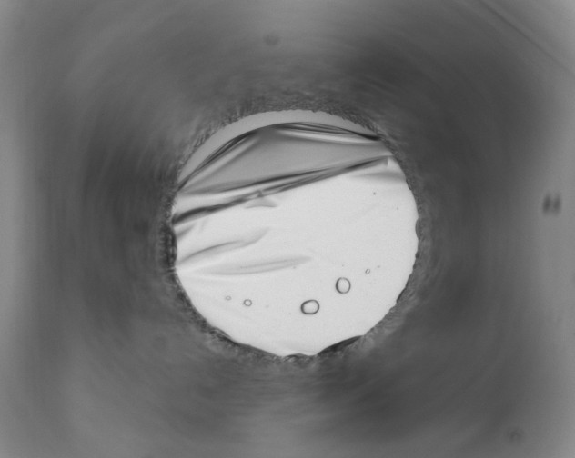 X0000111920192200908241100