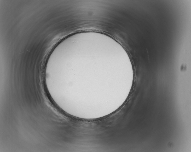 X0000111920193200908241059