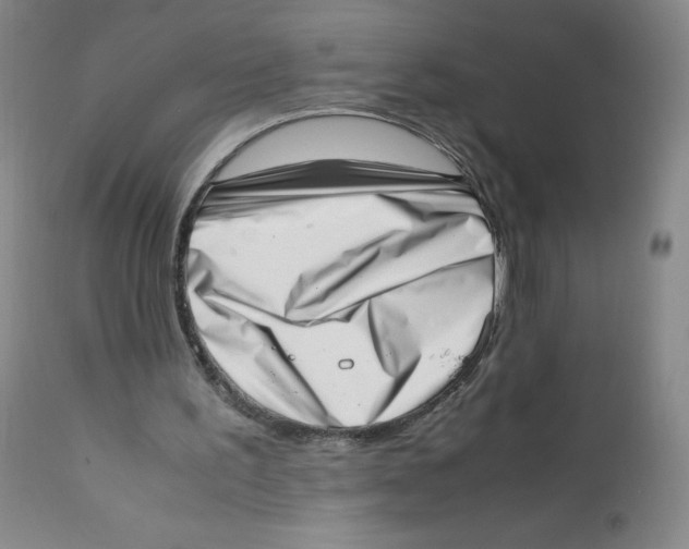 X0000111920195200908241059