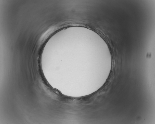 X0000111920197200908241059