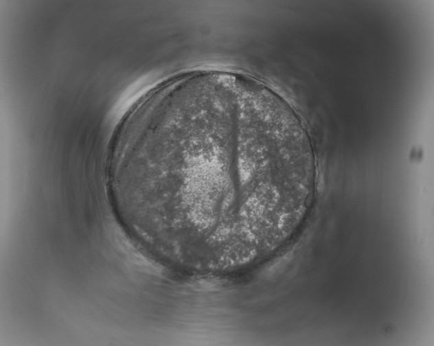 X0000111920199200908241059