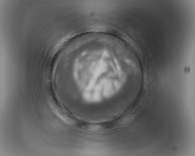 X0000111920203200908241059