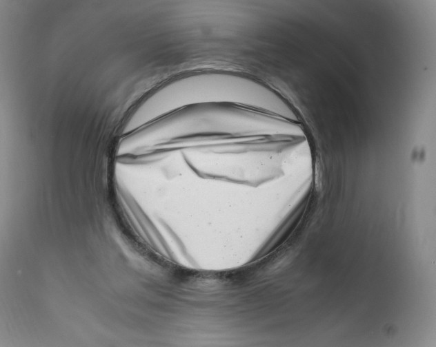 X0000111920205200908241059