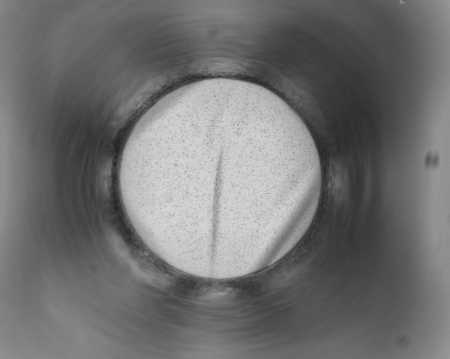 X0000111920206200908241059