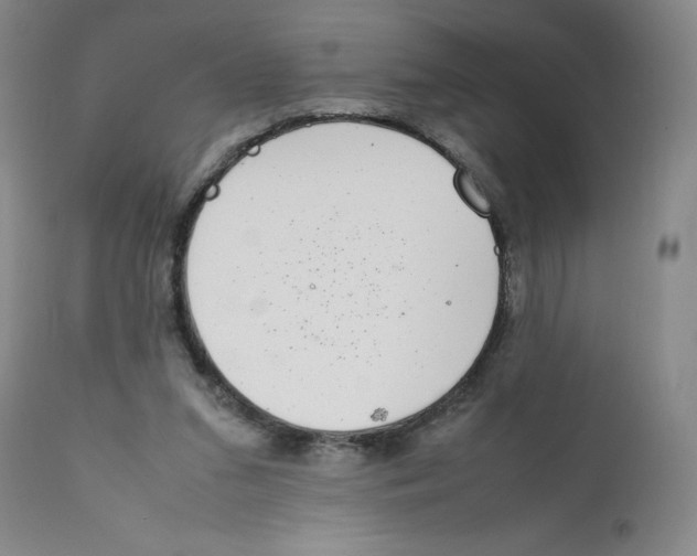 X0000111920207200908241059