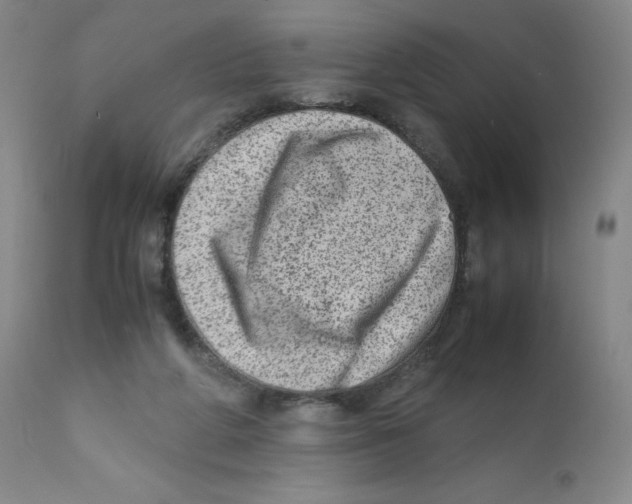 X0000111920210200908241059