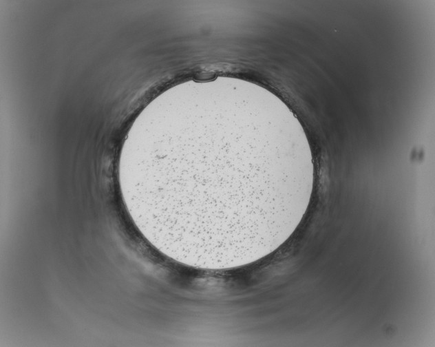 X0000111920211200908241059