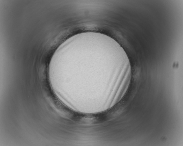 X0000111920213200908241059