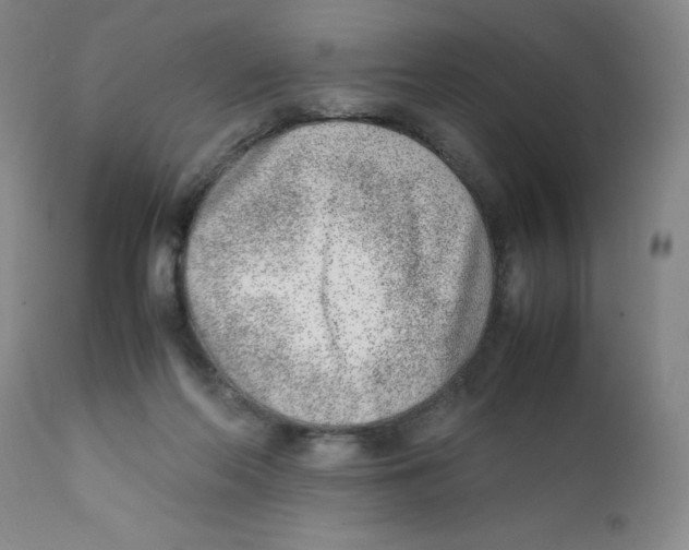 X0000111920214200908241059