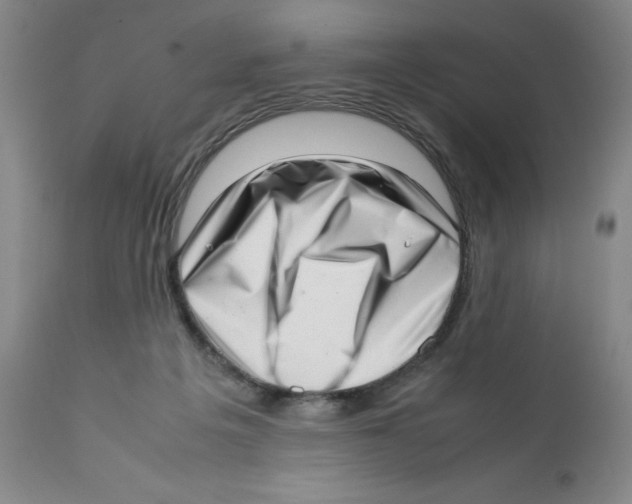 X0000111920217200908241059