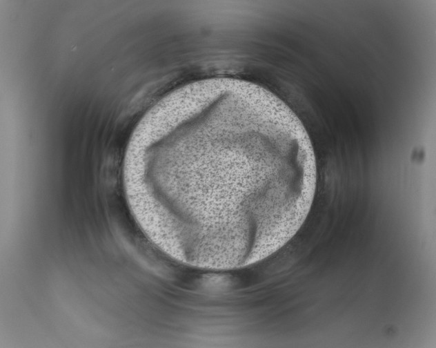 X0000111920218200908241059