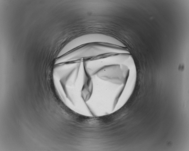 X0000111920219200908241059