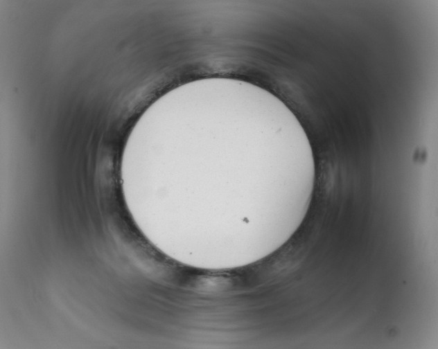 X0000111920220200908241059